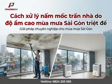 C&aacute;ch xử l&yacute; nấm mốc trần nh&agrave; do độ ẩm cao m&ugrave;a mưa S&agrave;i G&ograve;n triệt để 
