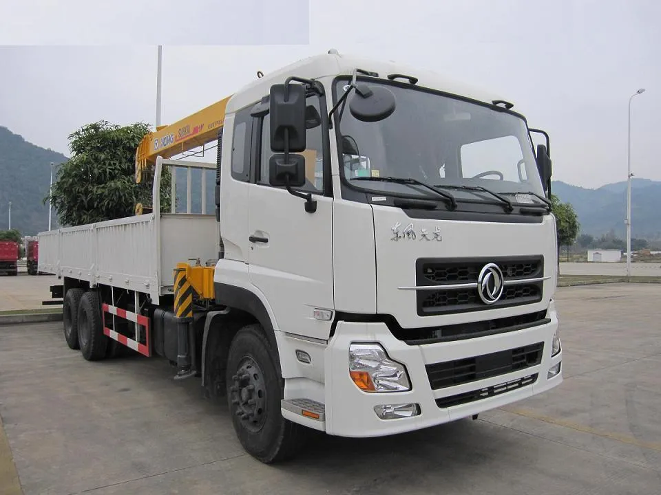 xe cẩu tự hành 30 tấn